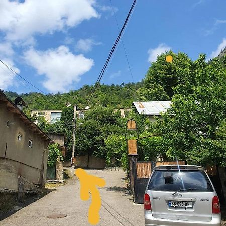 Nari Apartment Borjomi Exterior photo